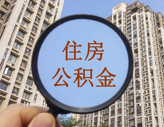 分宜退休后查不到公积金明细了吗（退休后公积金查询不到原因）